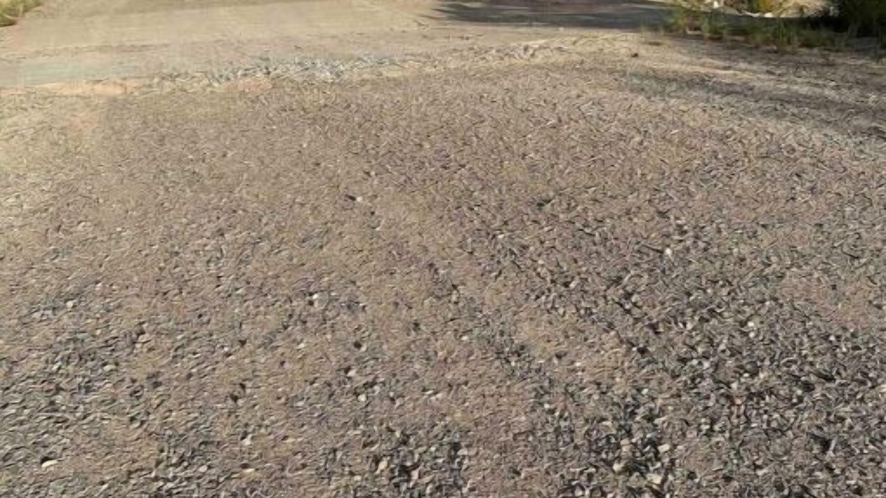 Photo of Outdoor in Camp Verde
