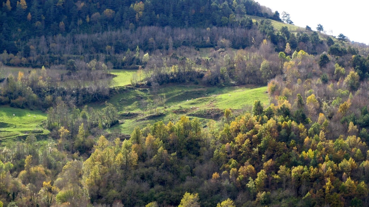Photo of Outdoor in Pardines