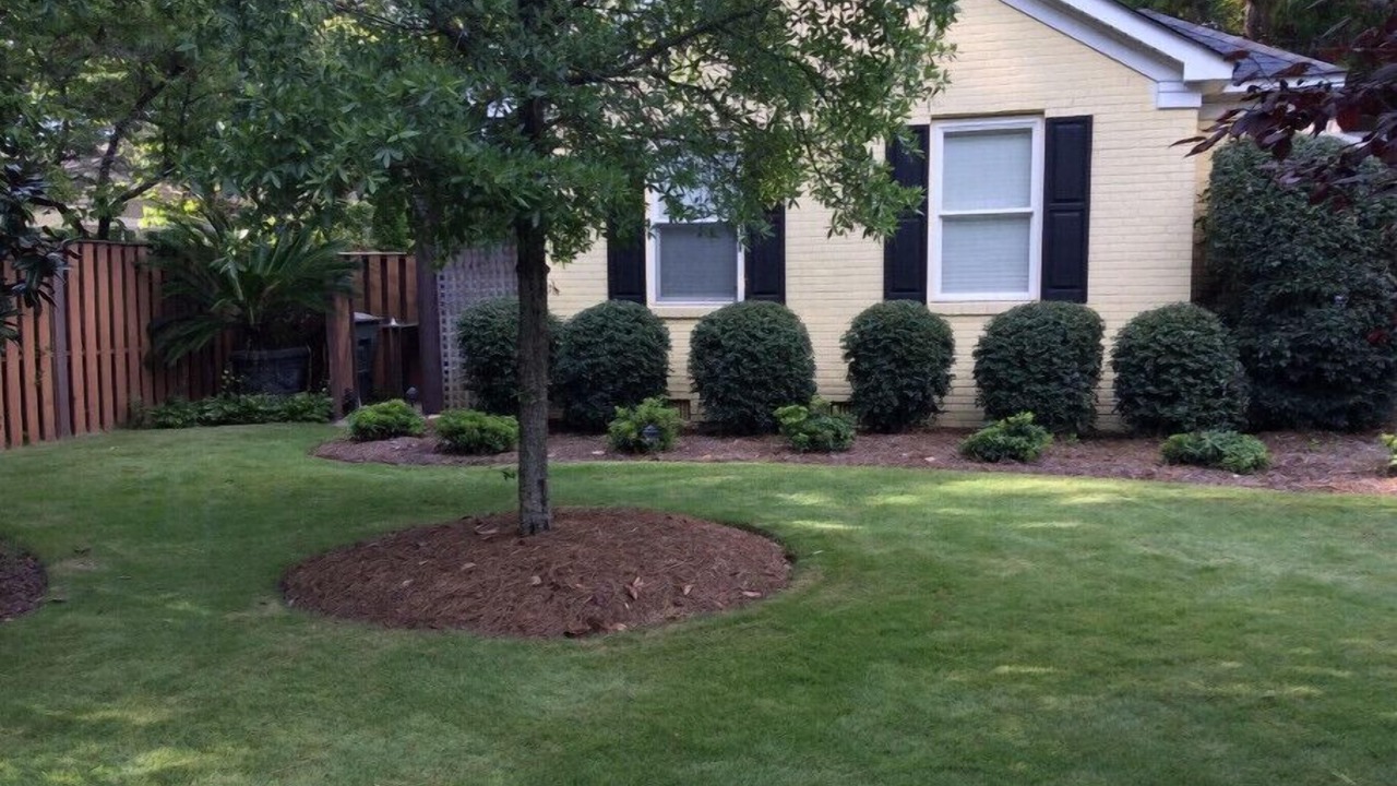 Photo of Outdoor in Forest Acres