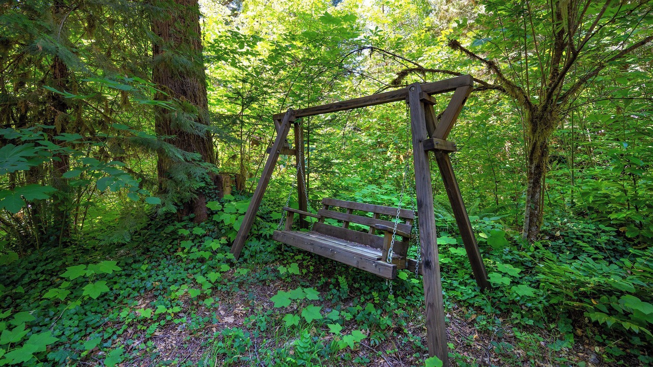 Photo of Outdoor in Blue River