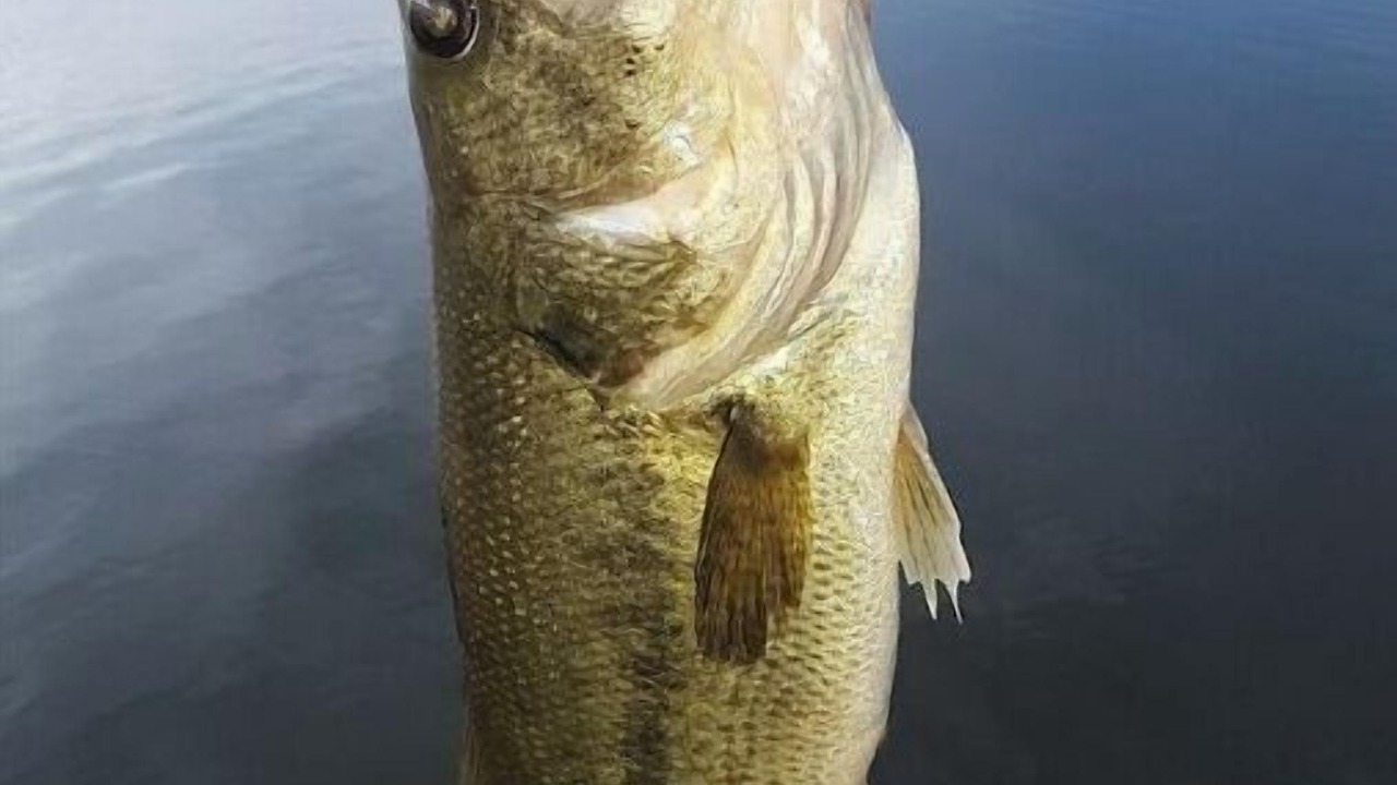 Photo of Others in Houghton Lake