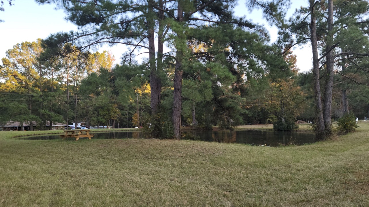 Photo of Outdoor in Broaddus