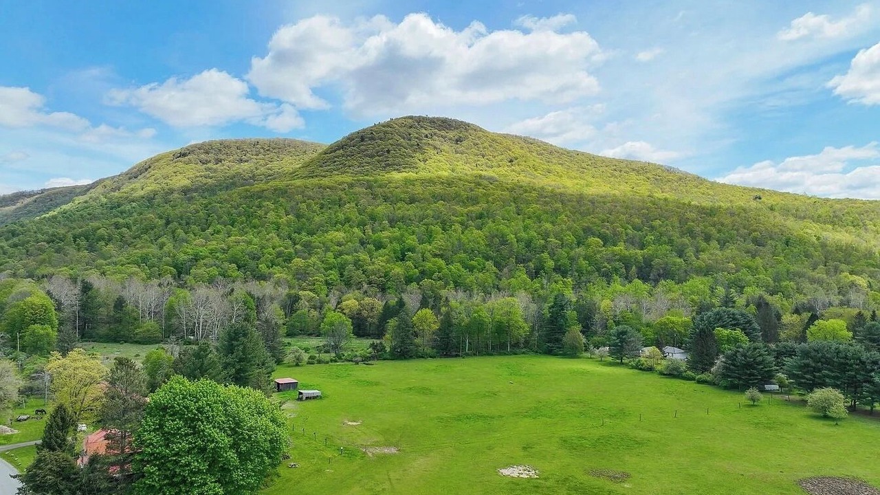 Photo of Others in Benton