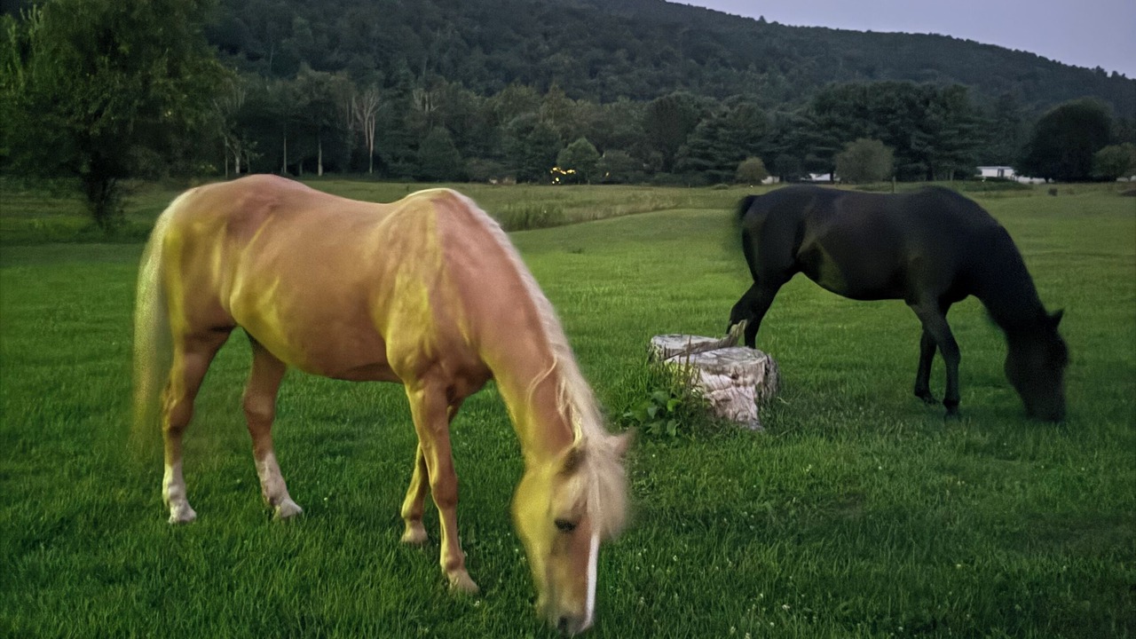 Photo of Others in Benton