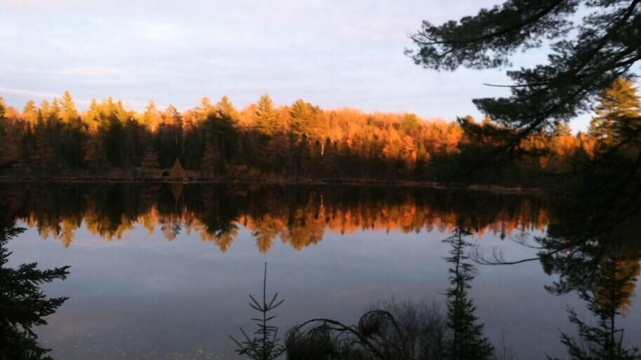 Photo of Outdoor in Republic