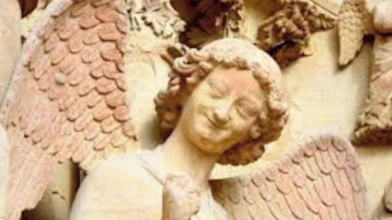 Photo of Outdoor in Reims City Centre