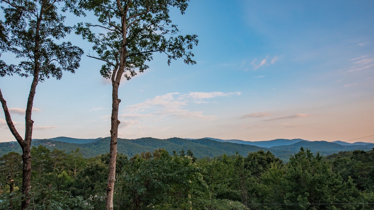 Photo of Others in Foxfire Estates