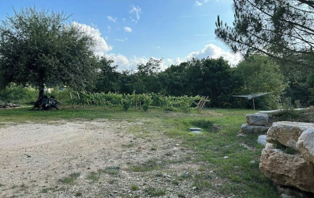 Photo of Outdoor in Saint-Germain-du-Salembre