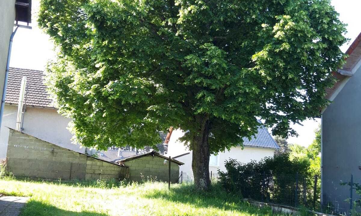 Photo of Outdoor in Saint-Chely-d'Apcher