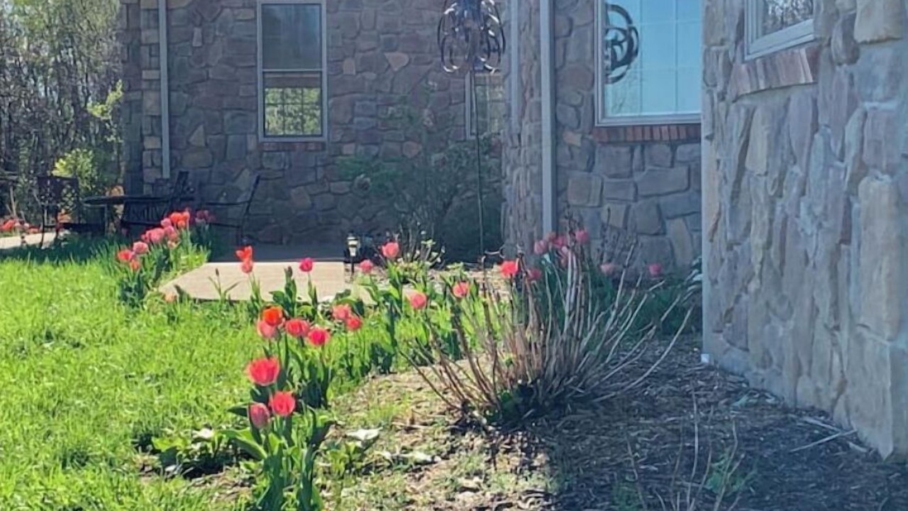 Photo of Outdoor in Lake Lynn