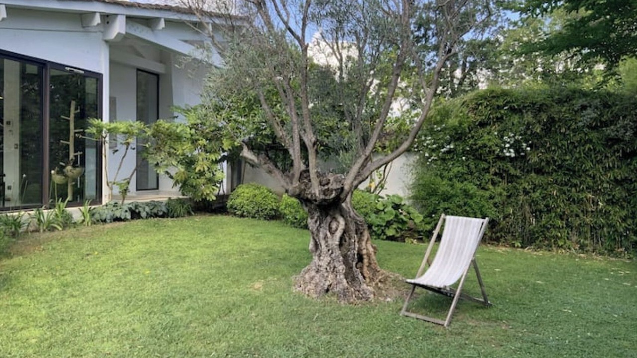 Photo of Outdoor in Saint-Tropez