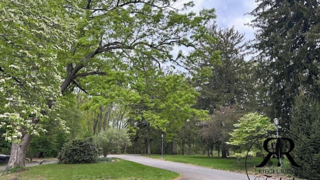 Photo of Outdoor in Milford