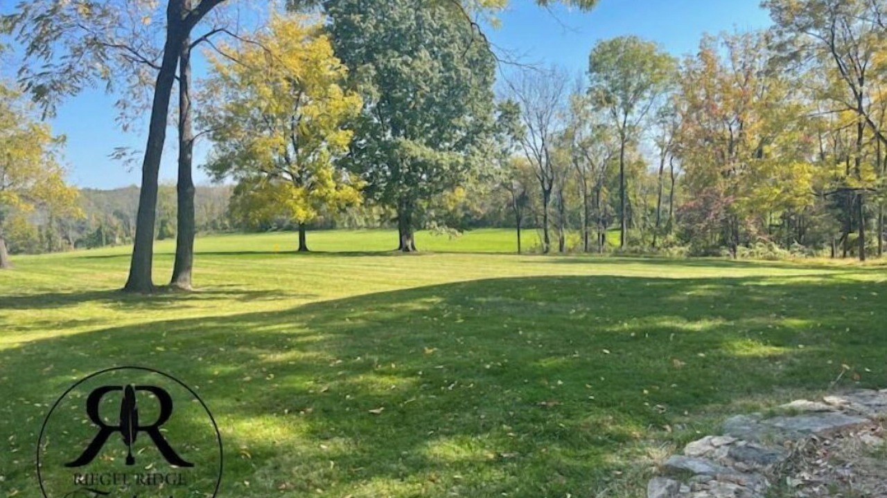 Photo of Others in Milford