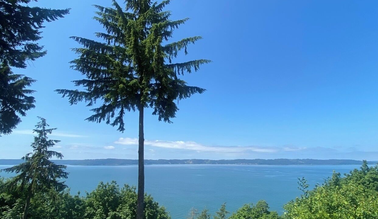 Photo of Others in Federal Way