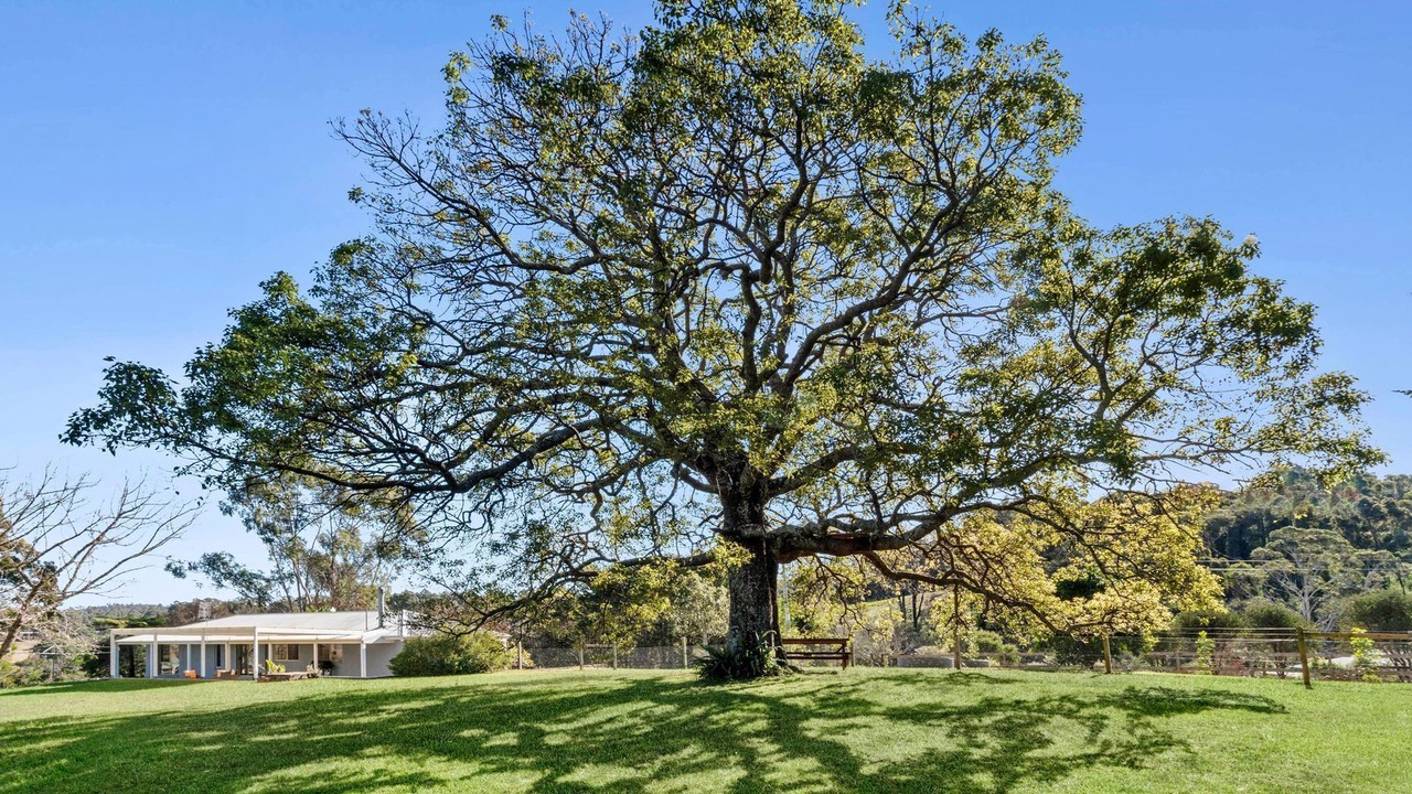 Photo of Outdoor in Malua Bay