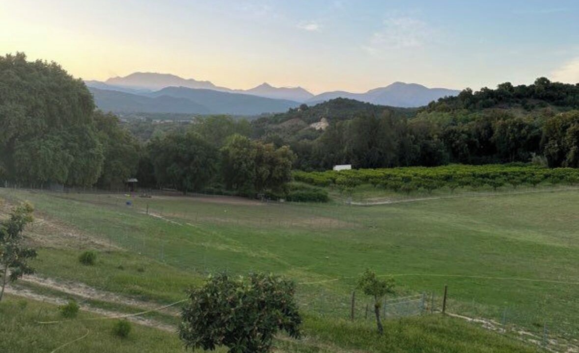 Photo of Others in Giuncaggio