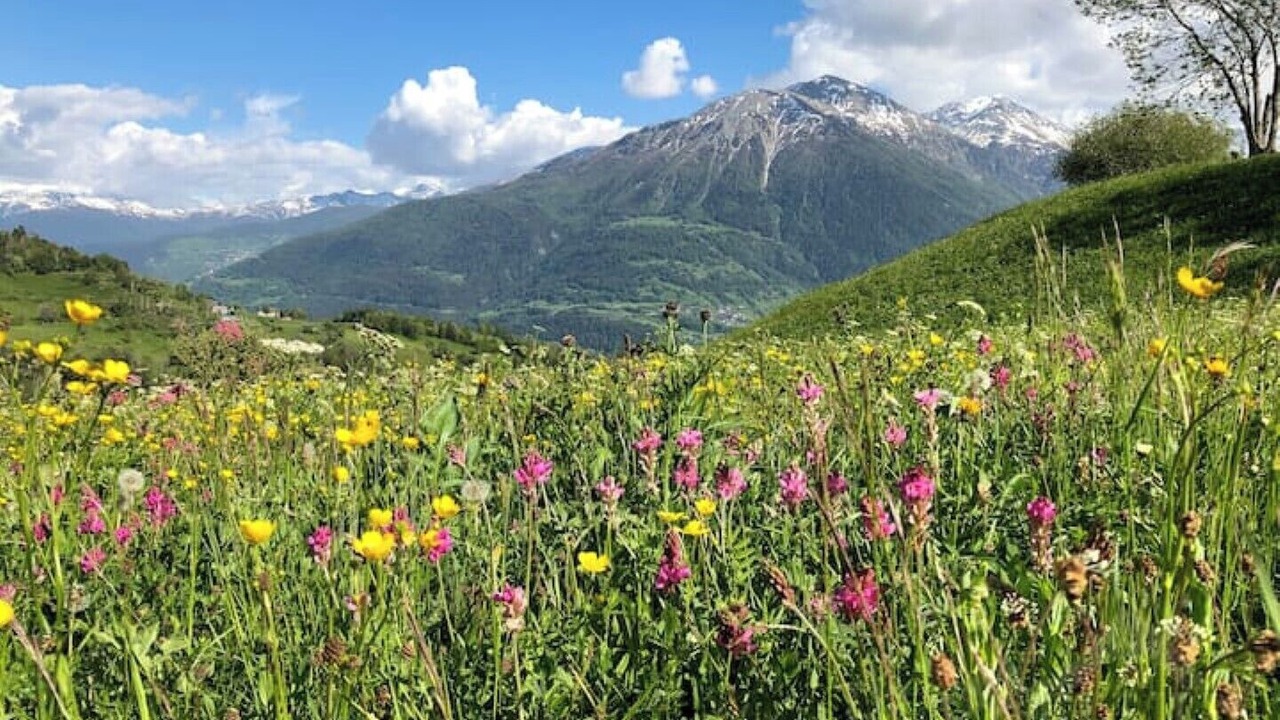 Photo of Outdoor in Erschmatt