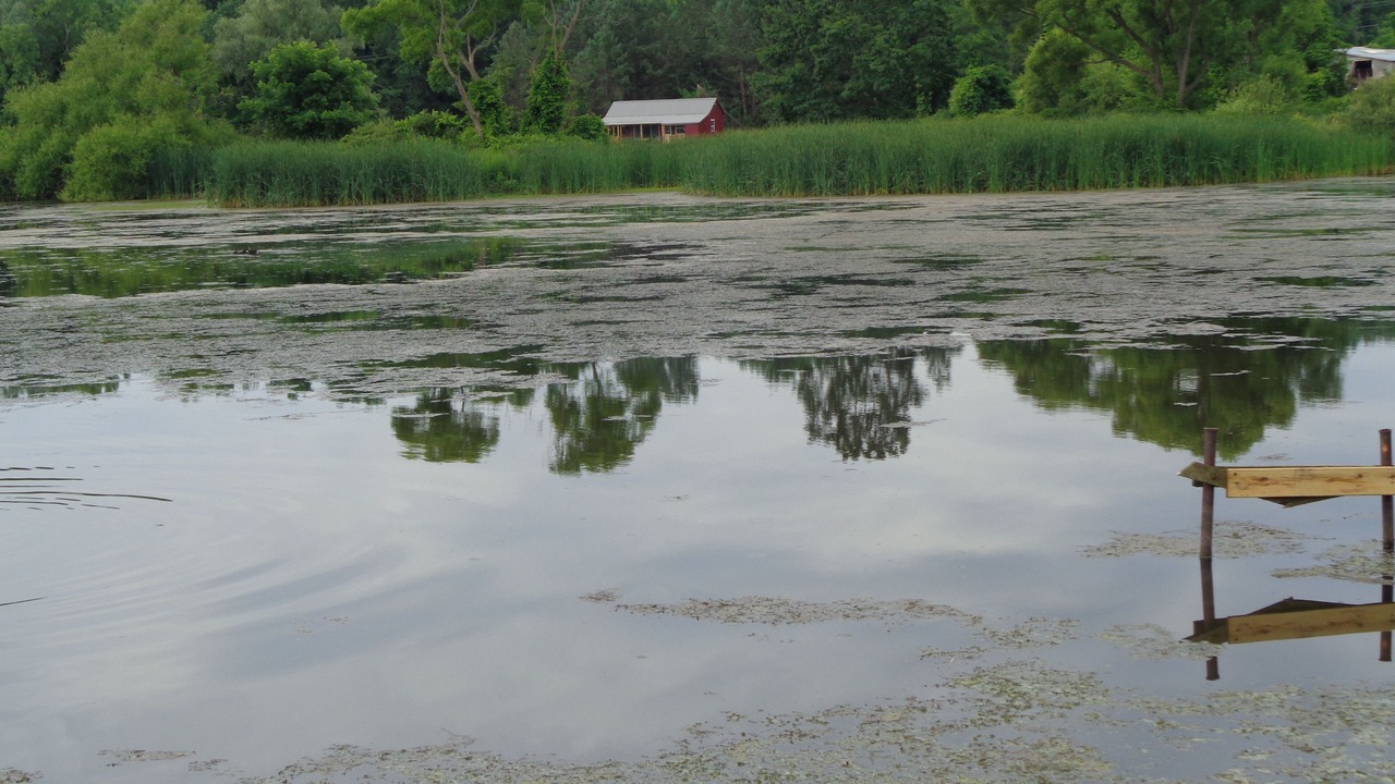 Photo of Others in Livonia