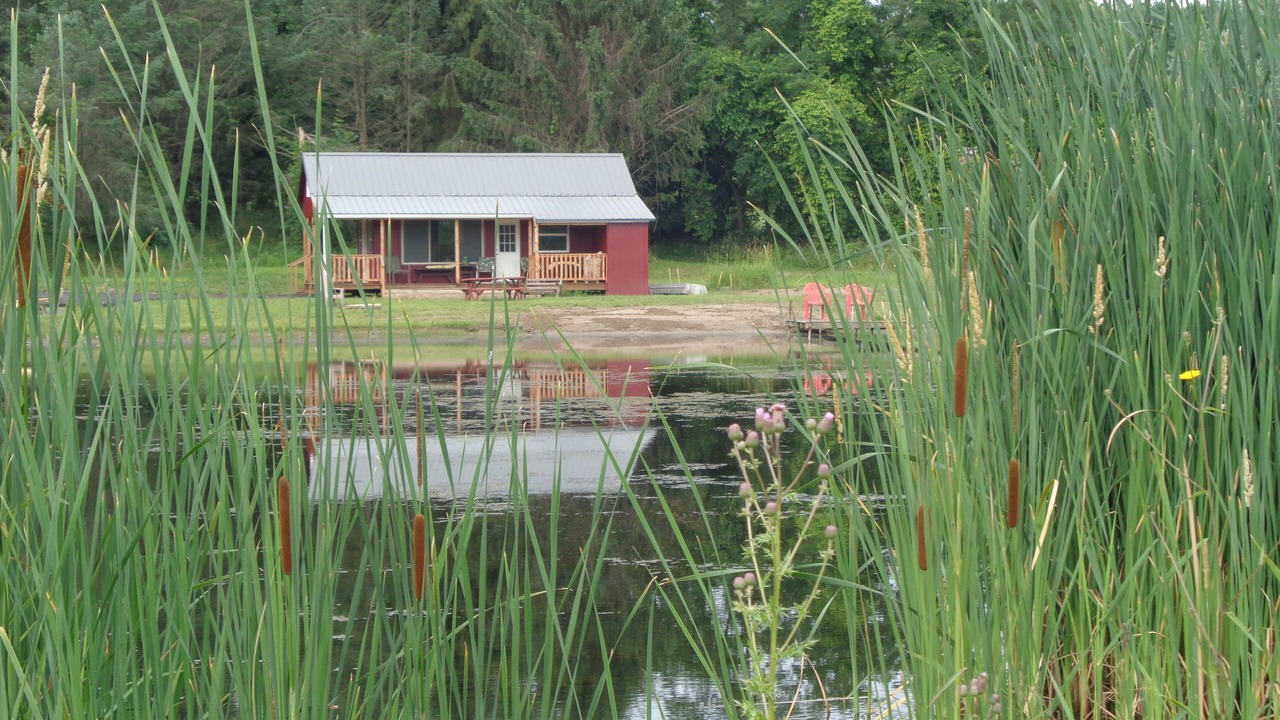 Photo of Outdoor in Livonia