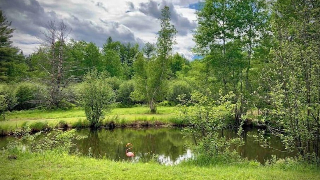 Photo of Outdoor in Wilmington
