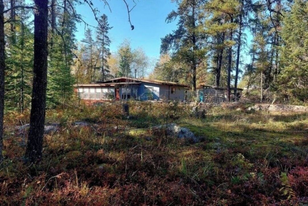 Photo of Outdoor in Belair