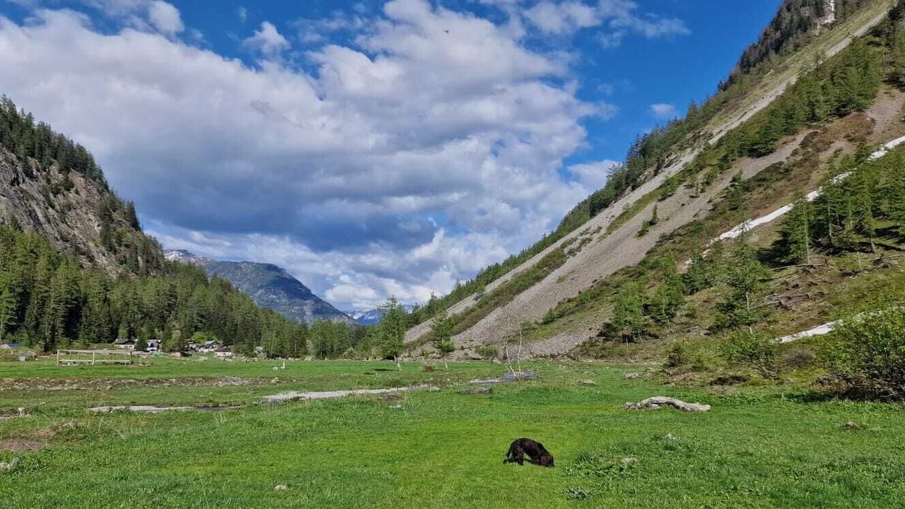 Photo of Outdoor in Salvan