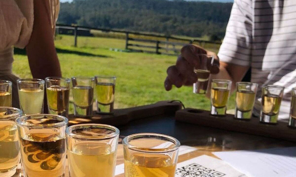 Photo of Others in Broke