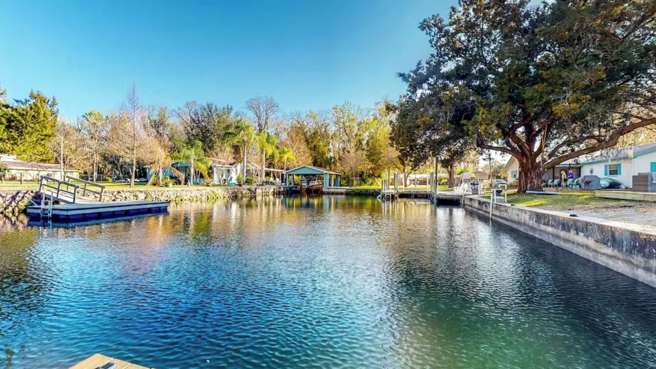 Photo of Others in Homosassa
