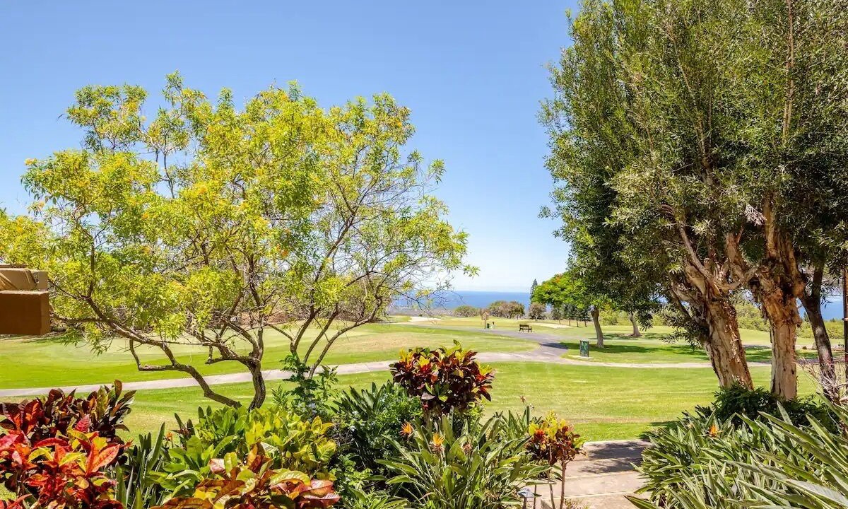 Photo of Outdoor in Waikoloa Village