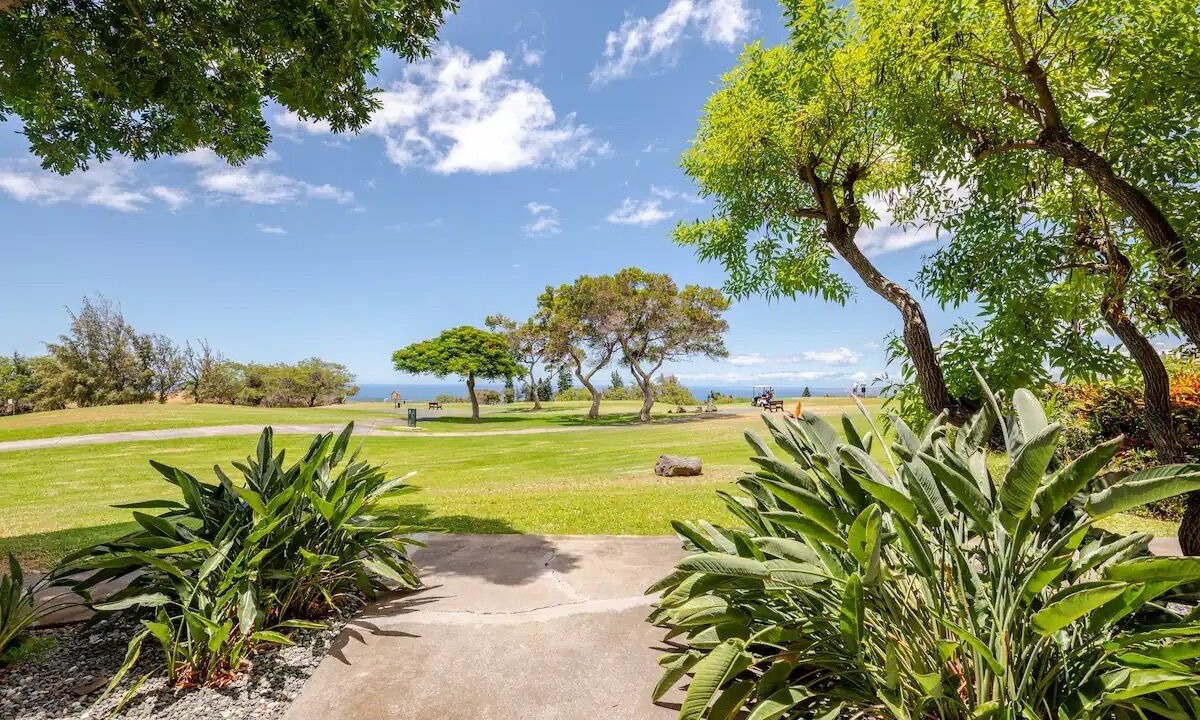 Photo of Others in Waikoloa Village