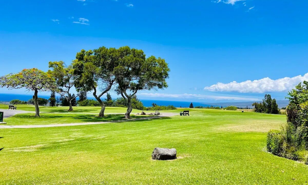 Photo of Others in Waikoloa Village