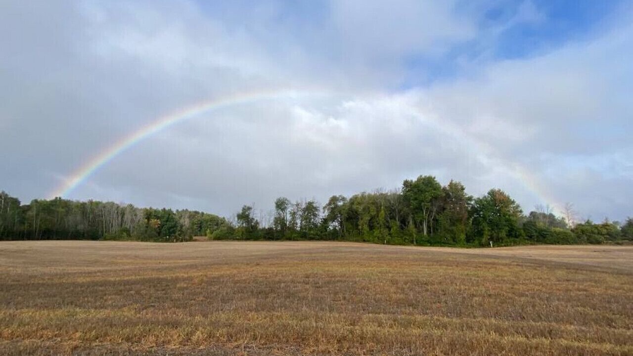 Photo of Others in Guelph/Eramosa