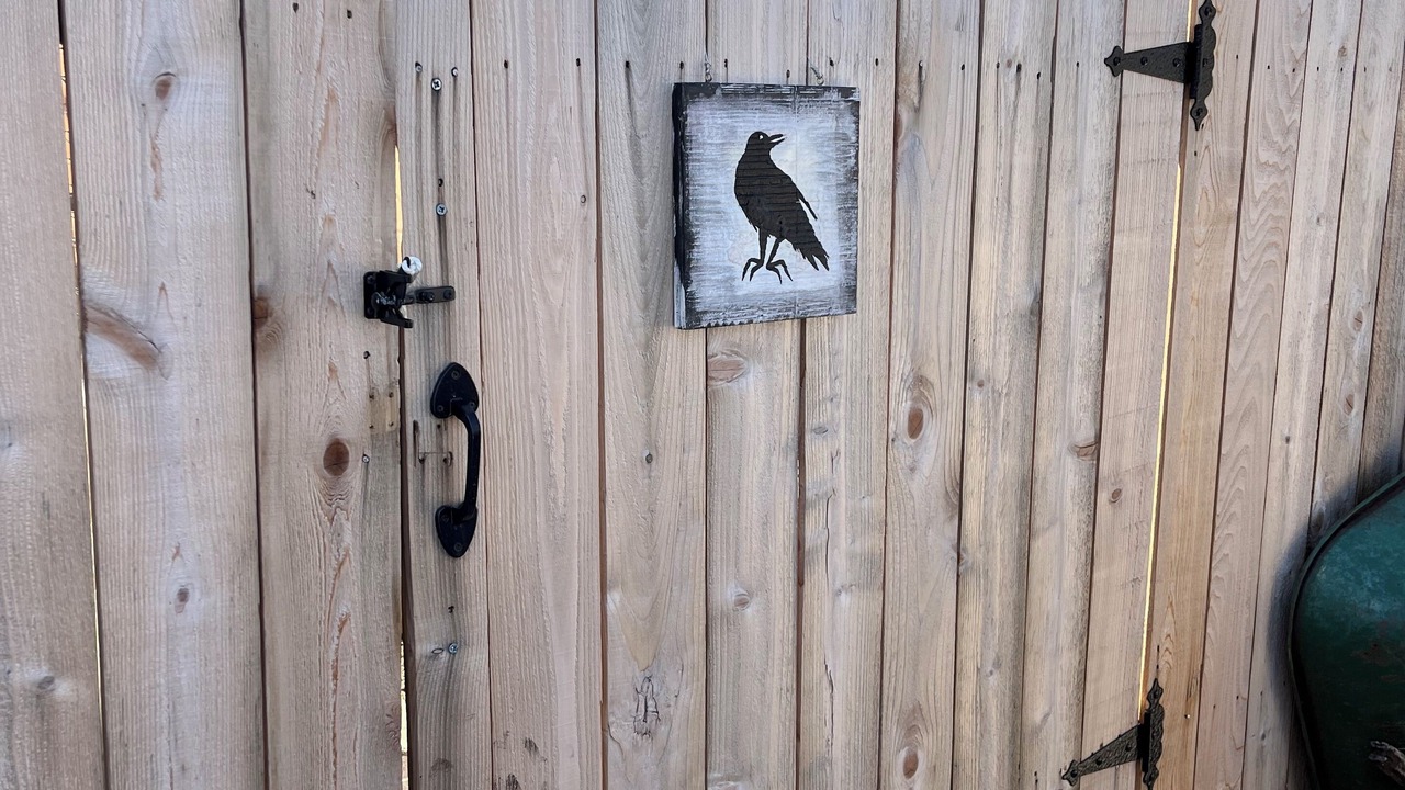 Photo of Outdoor in Austin