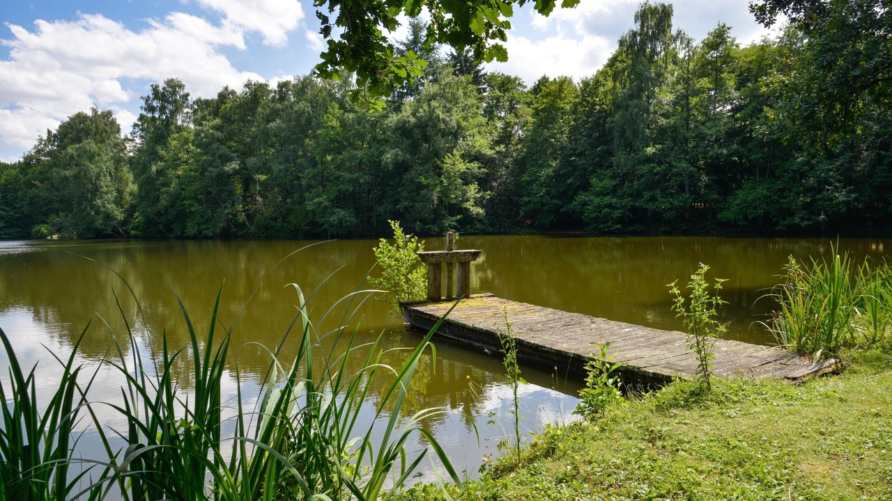 Photo of Outdoor in Mery-es-Bois