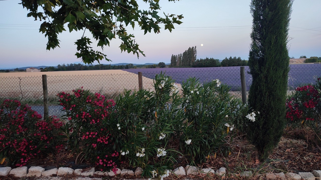 Photo of Outdoor in Lamotte-du-Rhone