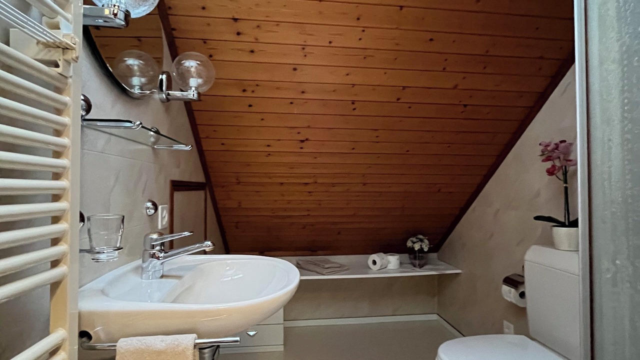 Photo of Bathroom in Isenthal