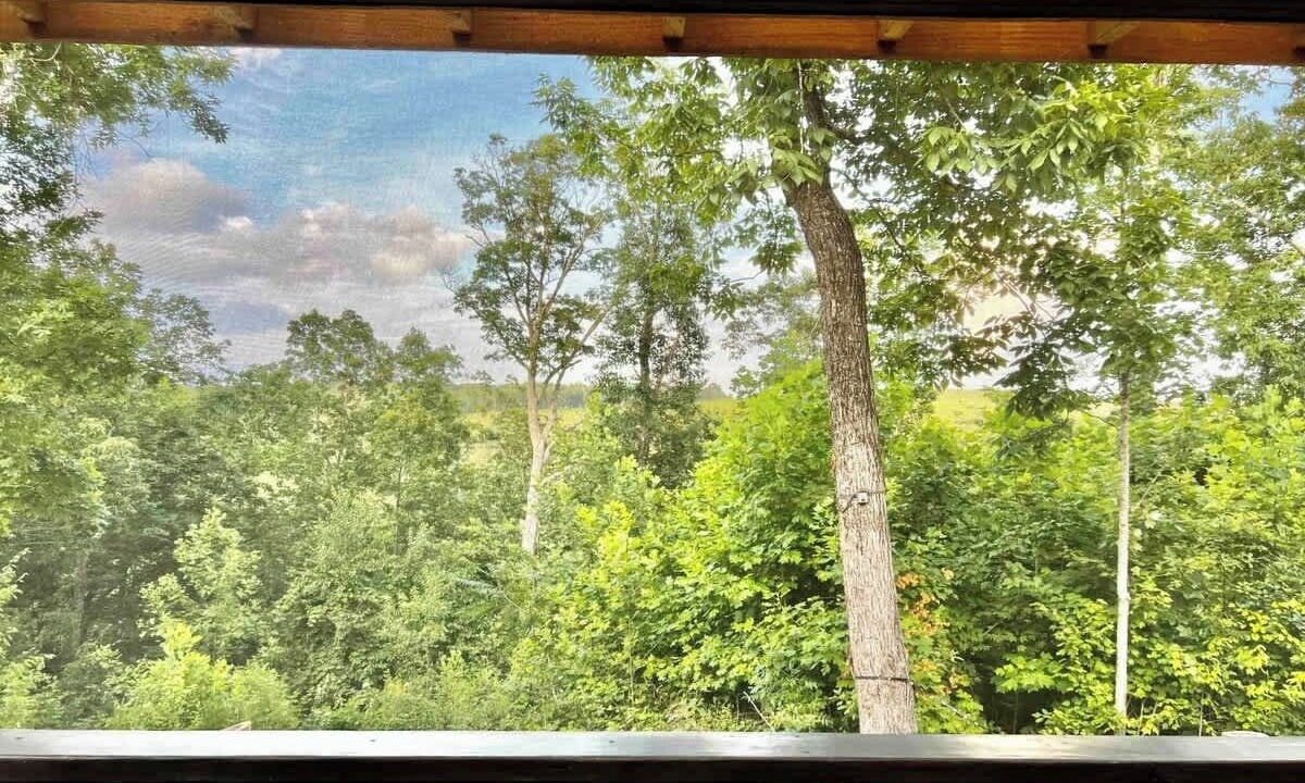 Photo of Outdoor in Lupton City