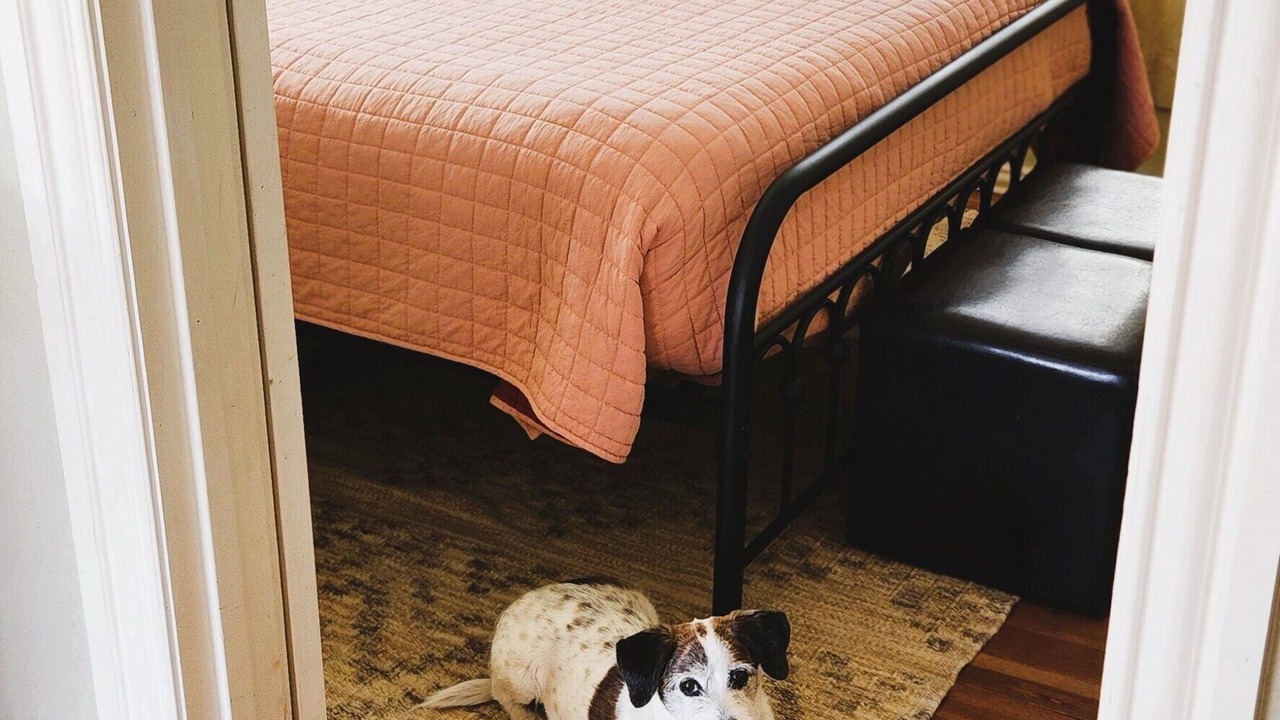 Photo of Bedroom in Fort Davis