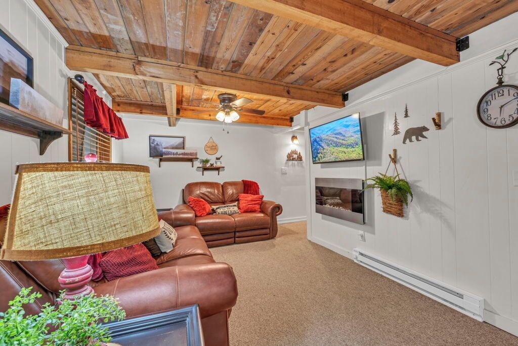 Photo of Livingroom in Beech Mountain