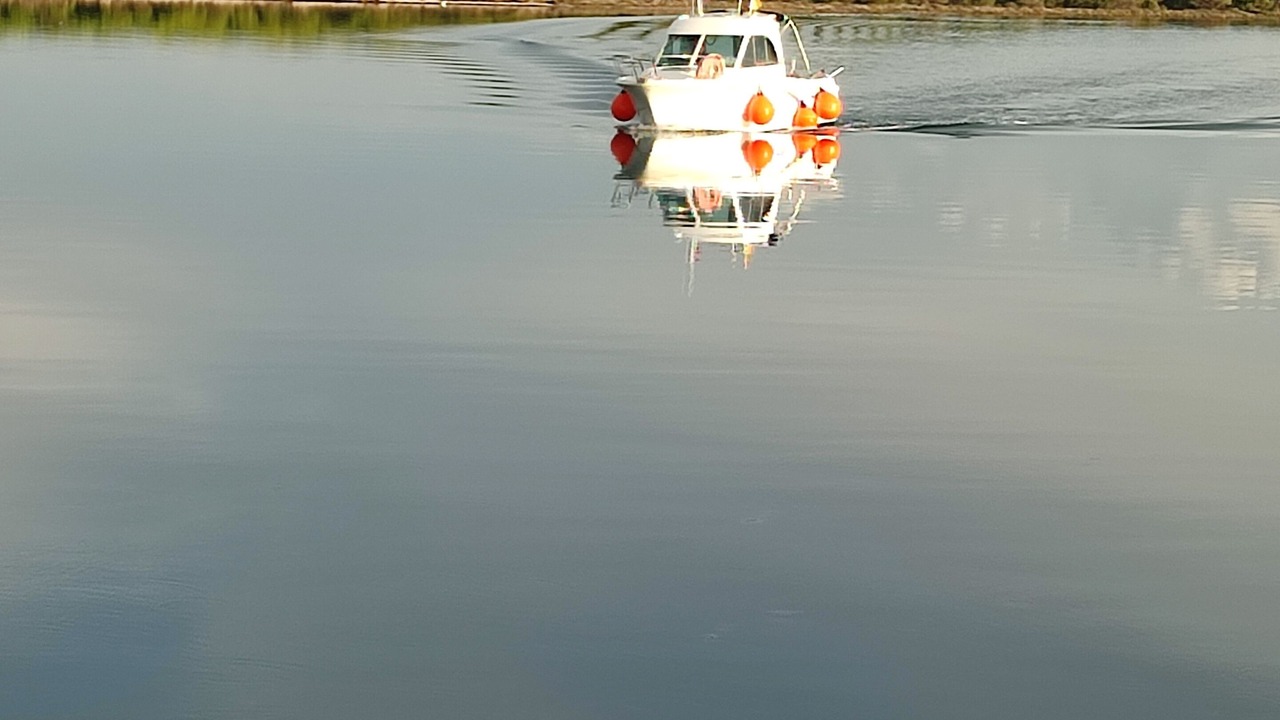 Photo of Others in Port Leucate