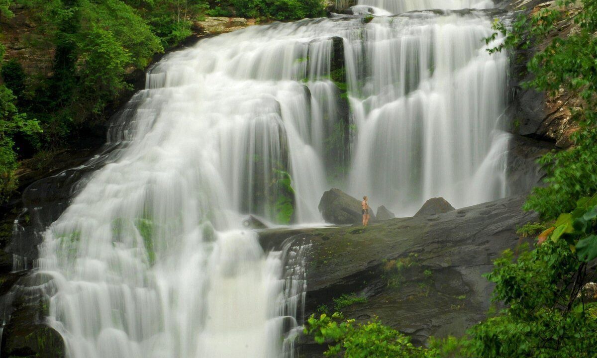 Photo of Others in Tellico Plains