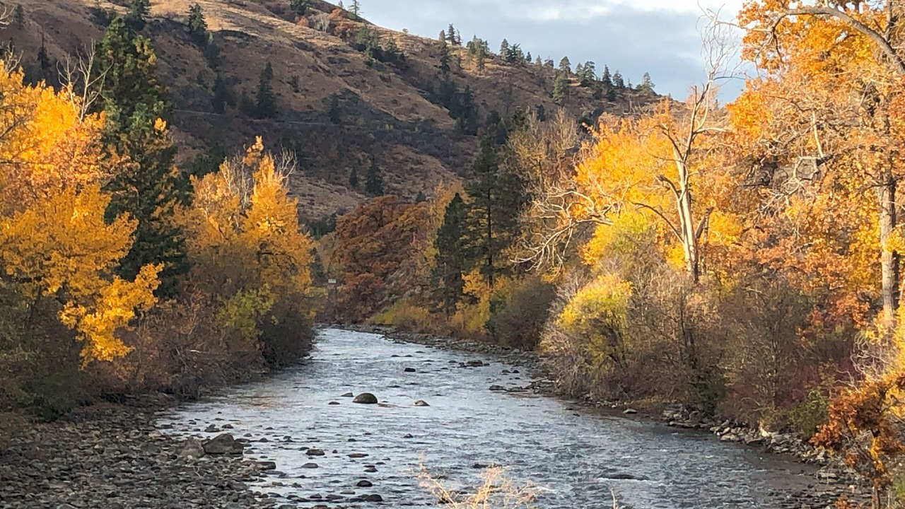 Photo of Others in Naches