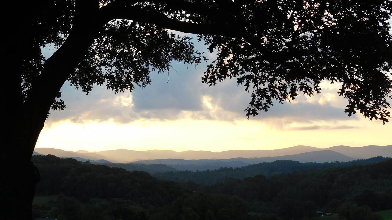 Photo of Others in Galax