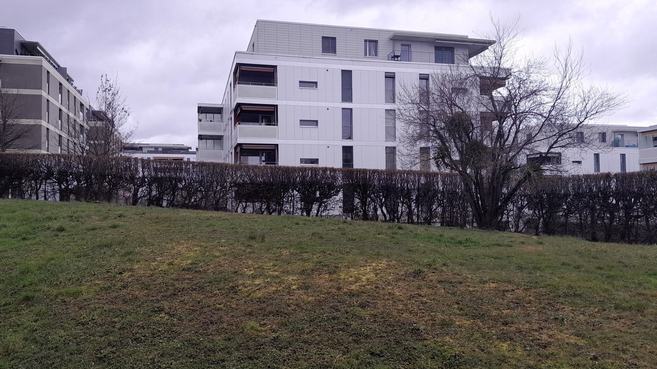 Photo of Outdoor in Lausanne