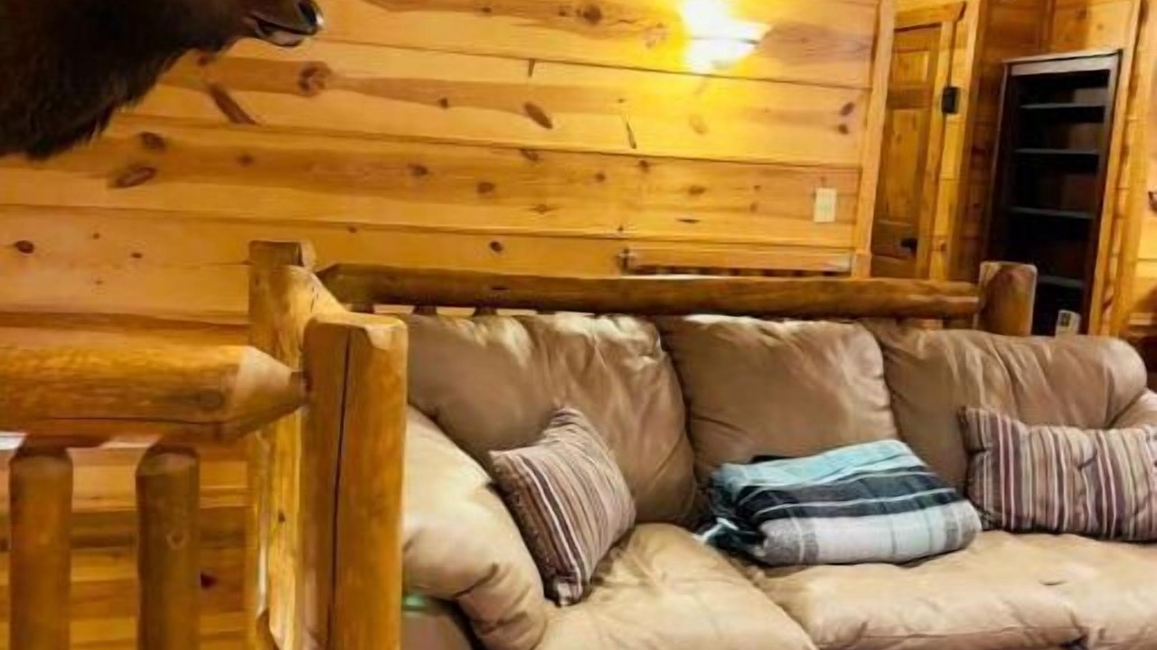 Photo of Livingroom in Harpers Ferry