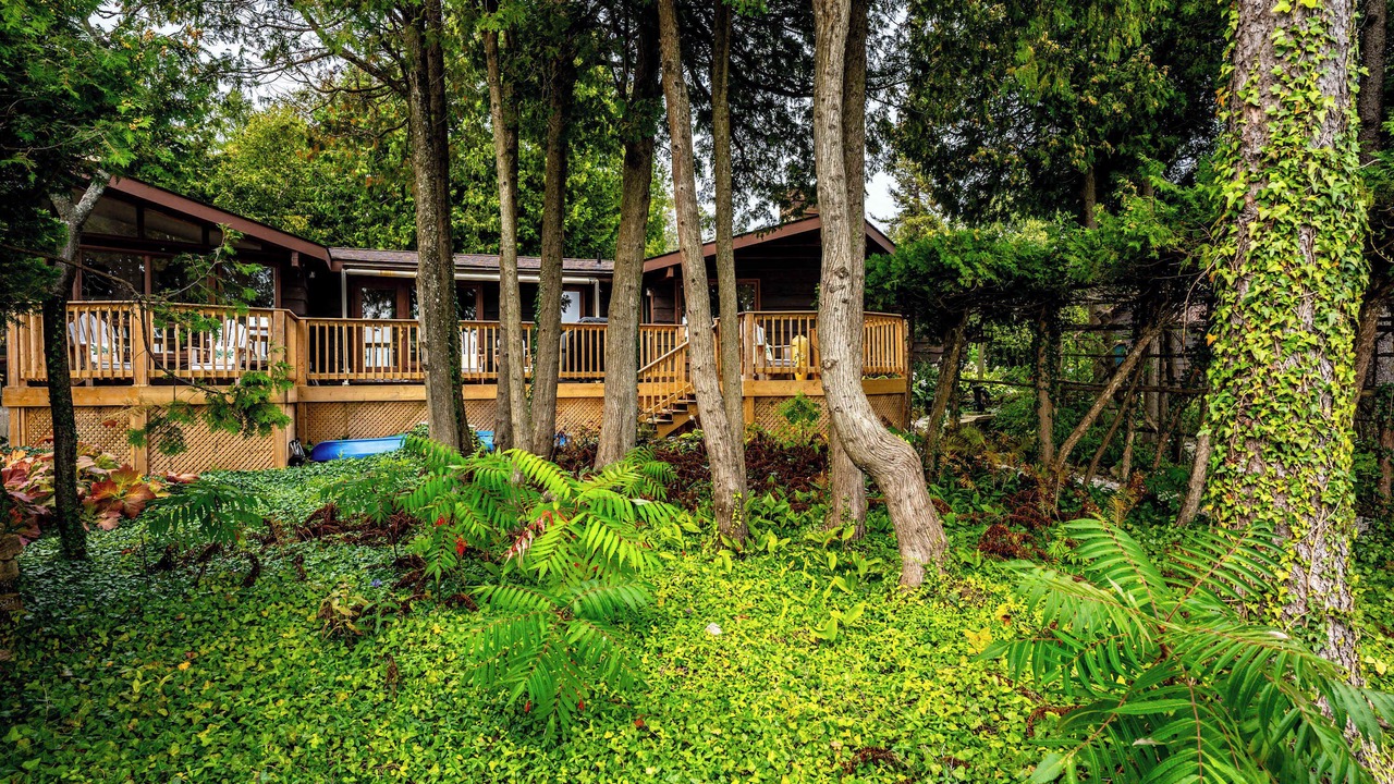 Photo of Outdoor in Colpoys Bay