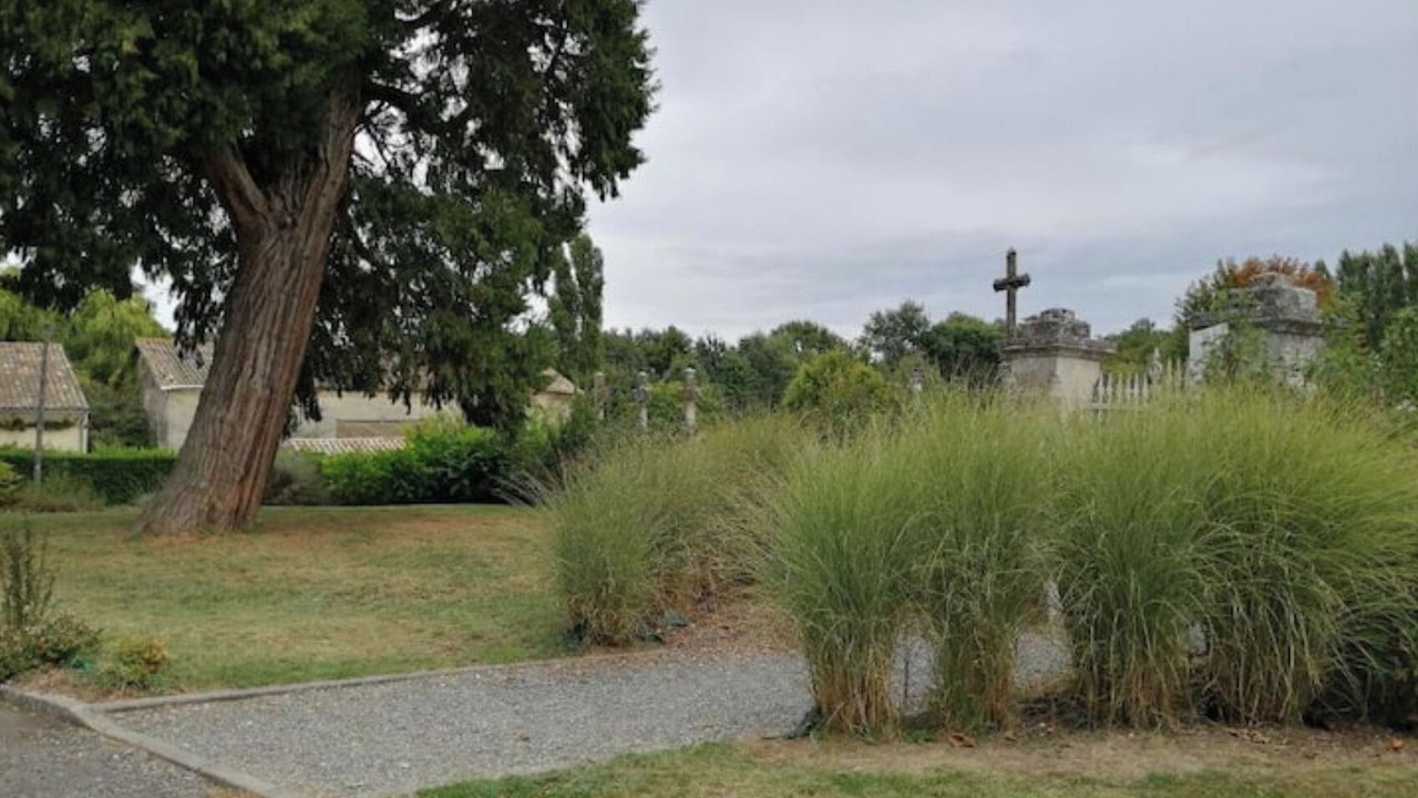 Photo of Outdoor in Petit-Palais-et-Cornemps
