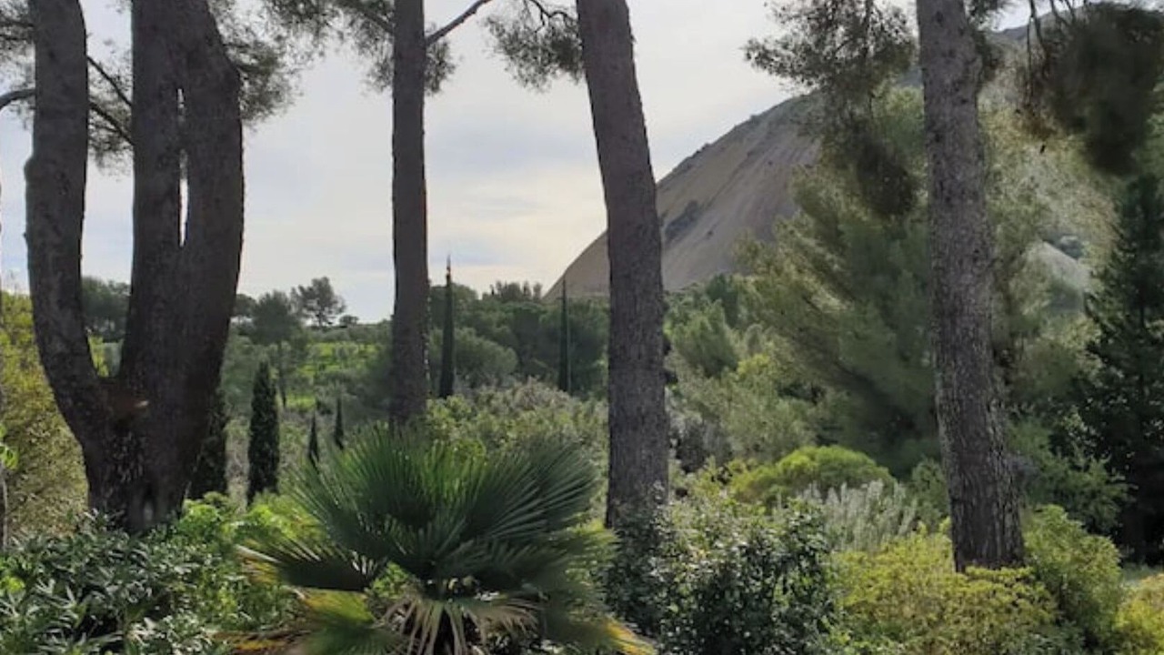 Photo of Others in La Ciotat