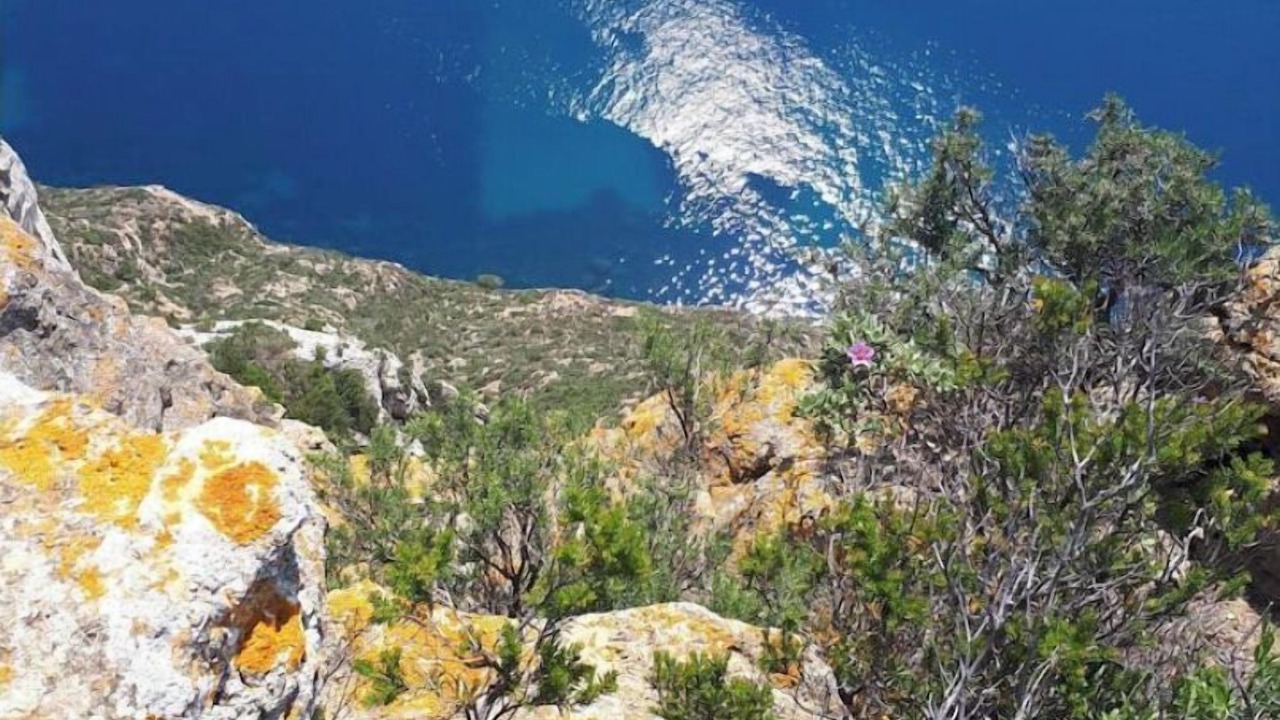 Photo of Others in La Ciotat