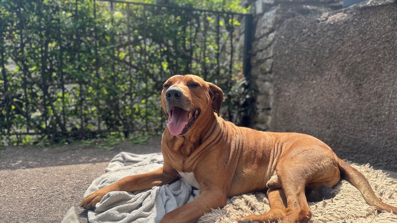 Photo of Others in Kirkby Stephen